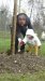 Plantations-2019
