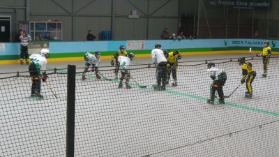 Roller-Hockey